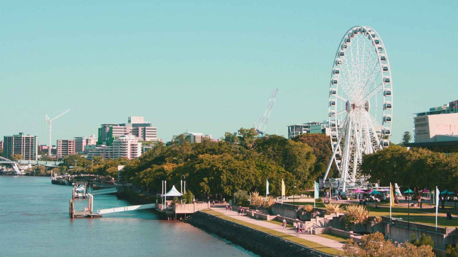 Top 5 Things to Do in Brisbane