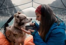 Make-Your-Camping-Enjoyable-With-Your-Pet-Dog-on-intelligentking