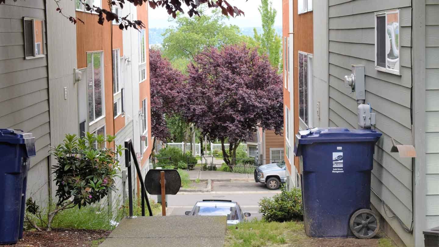 Dumpster-Harmony-Coexisting-with-Your-Trash-Bin-in-Perfect-Serenity-on-intelligentking