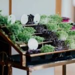 Tips-For-Simplifying-Indoor-Gardening-With-Hydroponics-Systems-on-intelligentking